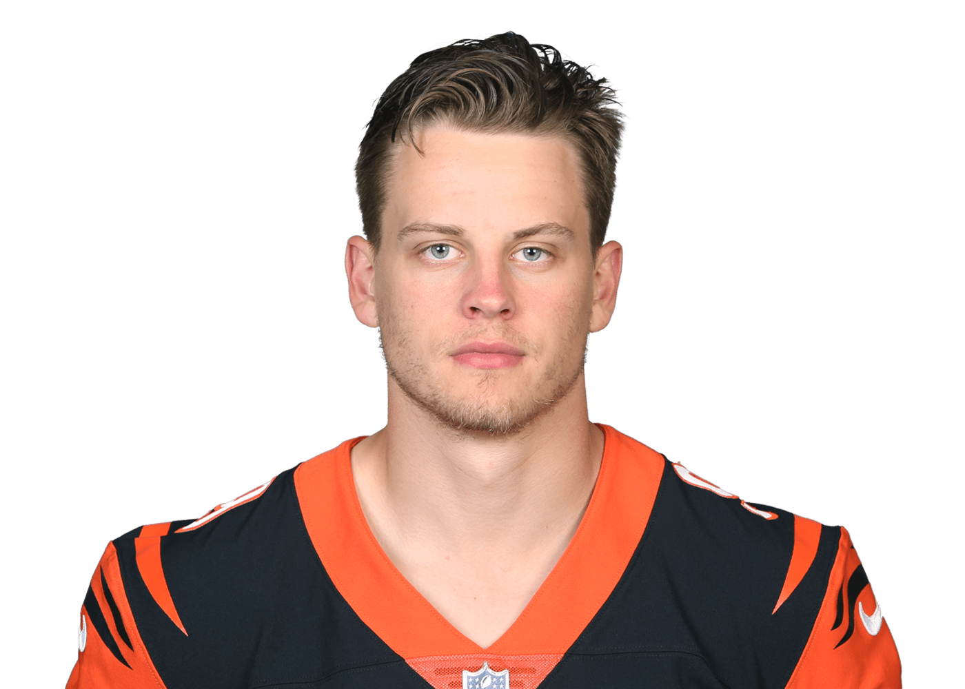 Broncos @ Bengals Box Score, Week 17, 2024 | nfelo.app