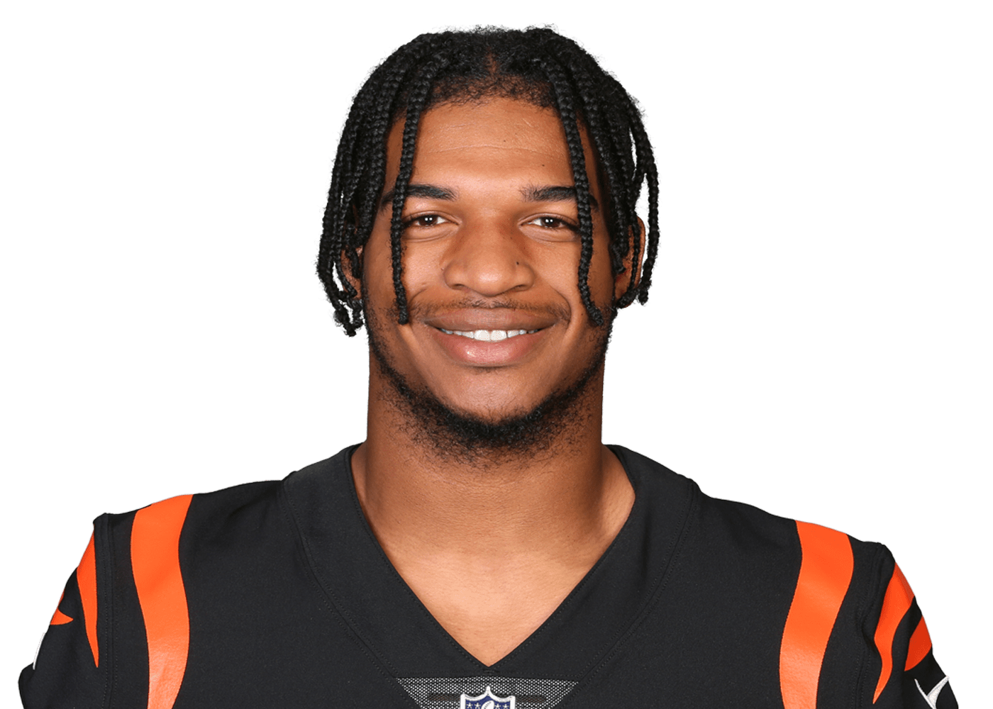 Bengals @ Steelers Box Score, Week 18, 2024 | nfelo.app