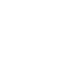 Houston Texans