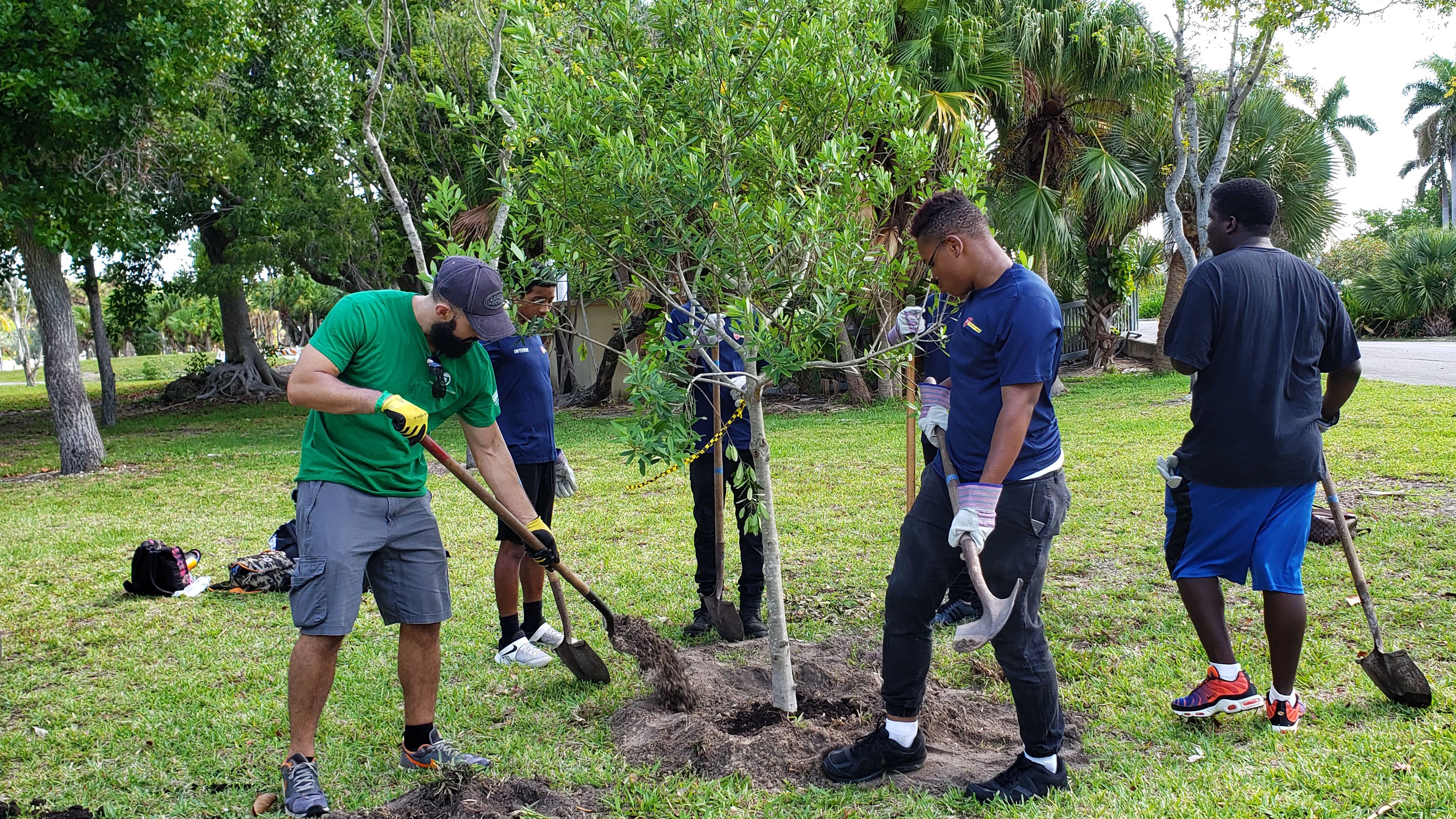 Greener Sports: How eco-friendly are professional sports leagues