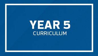 DVSA_Element_Year5