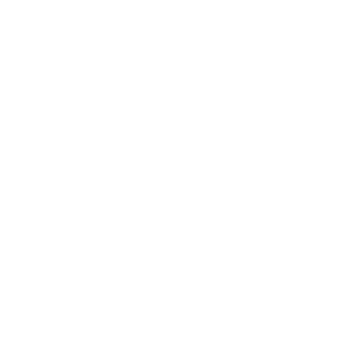 Seattle Seahawks