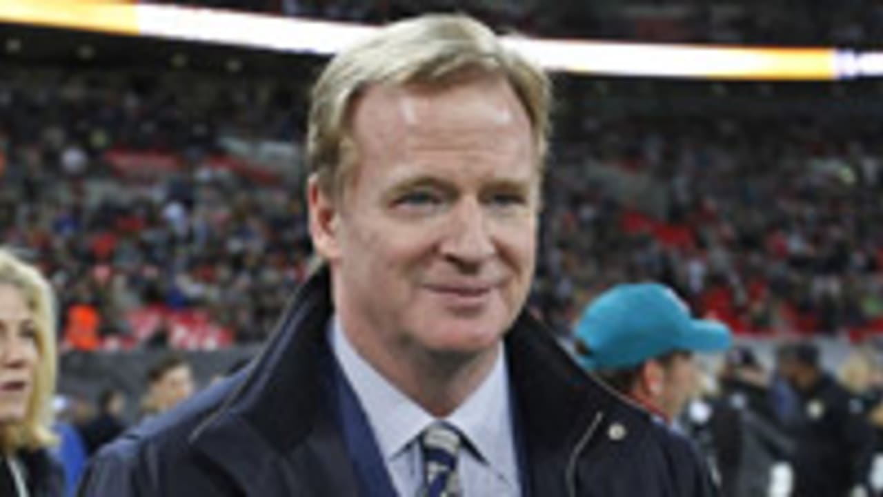 roger goodell-141130-Spot.jpg
