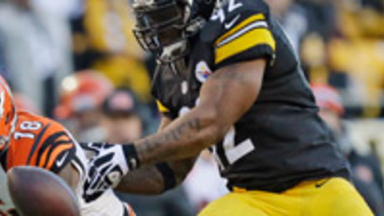 james-harrison-130212-spot.jpg
