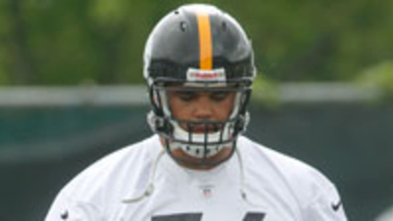 mike-adams-spot_120812.jpg