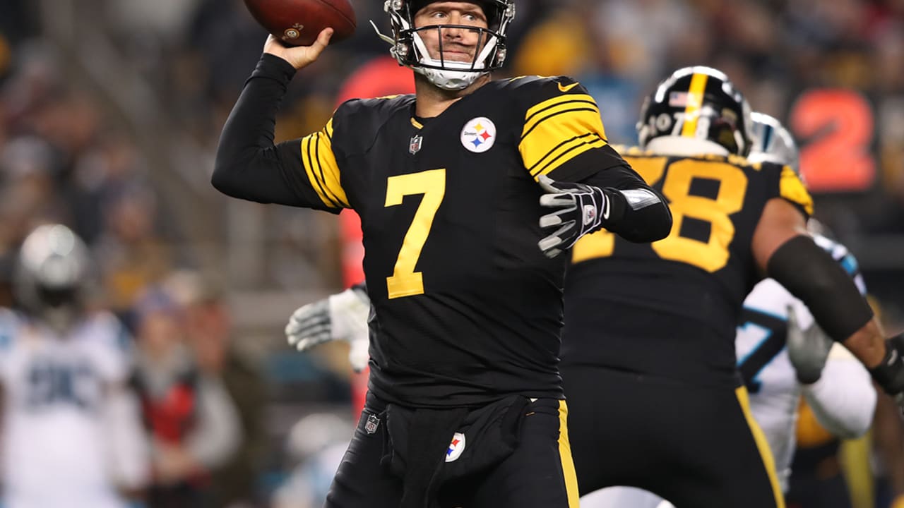 Pittsburgh Steelers tame Panthers to tighten grip on AFC North