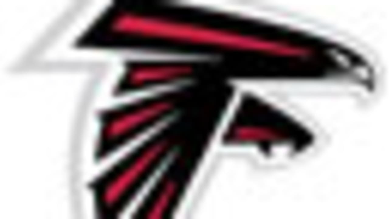 Falcons-130220-IL.jpg