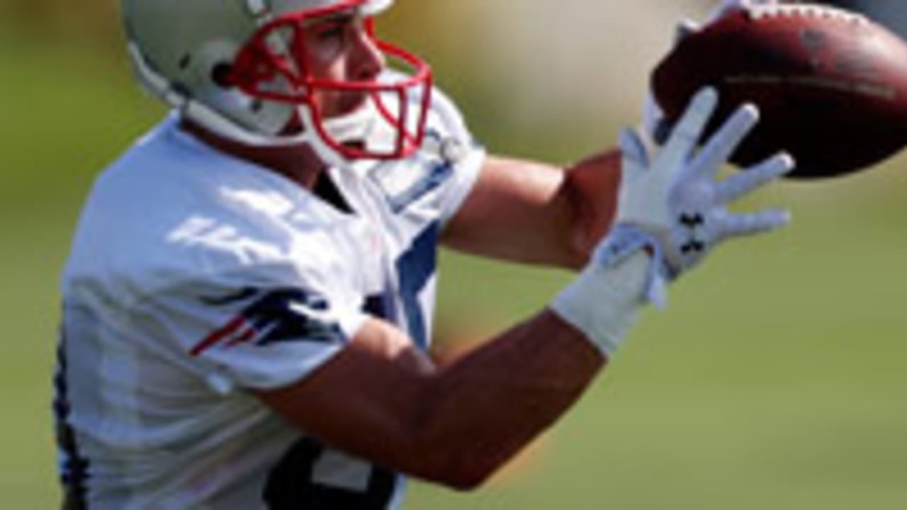 Danny-Amendola-sl-130805.jpg