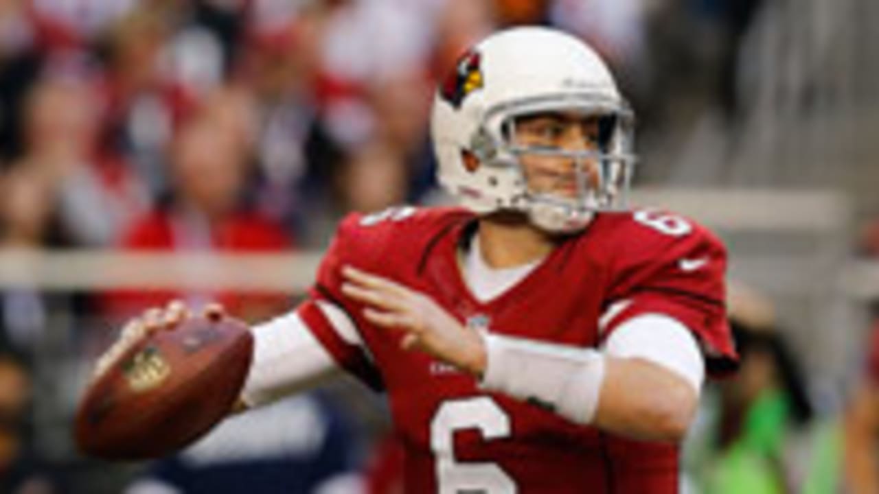 Brian-Hoyer-130427-spot.jpg