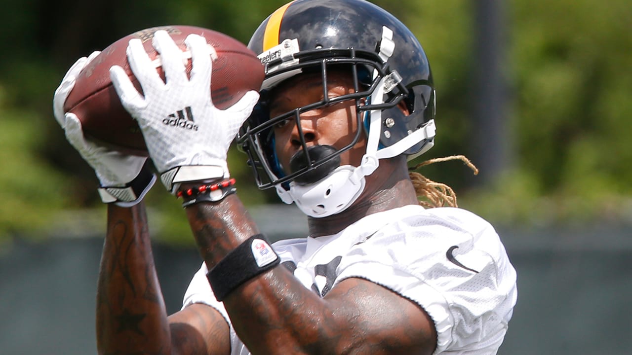 Bryant-Martavis-150728-SL.jpg
