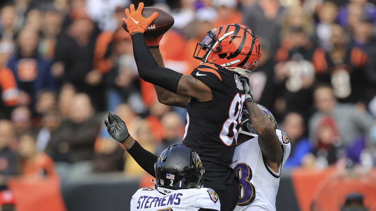 Cincinnati Bengals wide receiver Tee Higgins Draws Big Time Praise