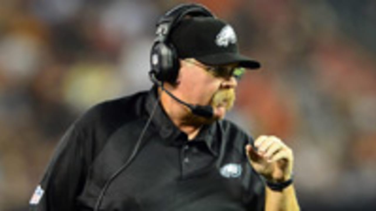 andy-reid-130103-spot.jpg