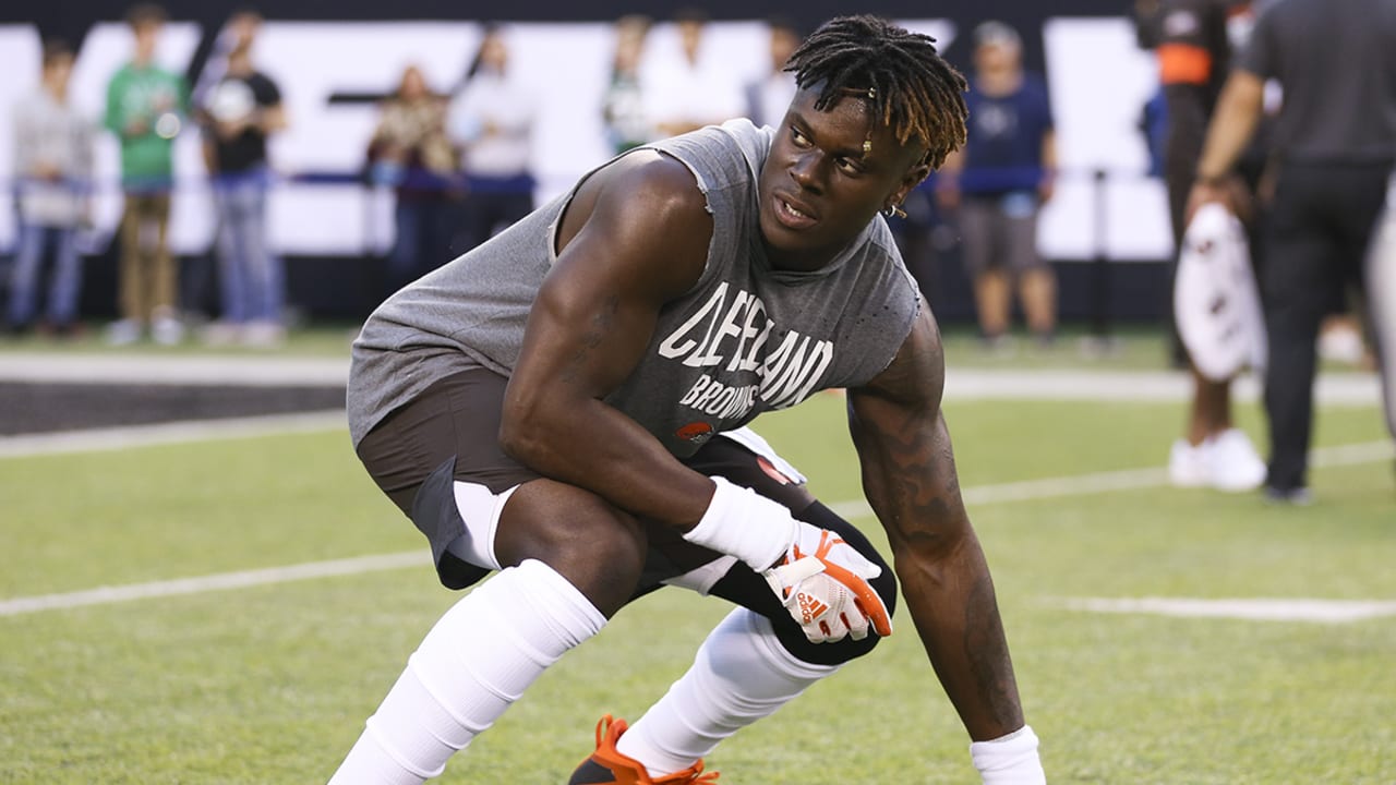 David Njoku-sl.jpg