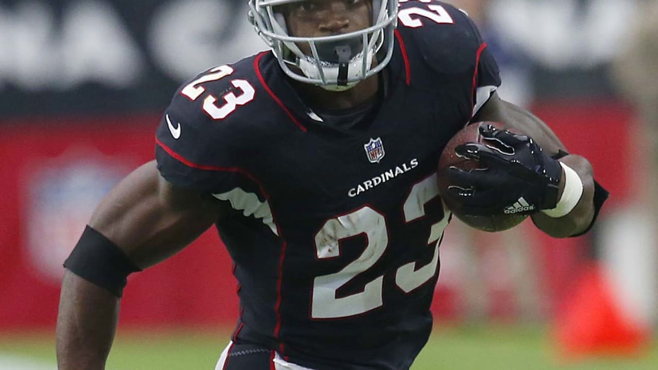 ADRIAN_PETERSON_110317