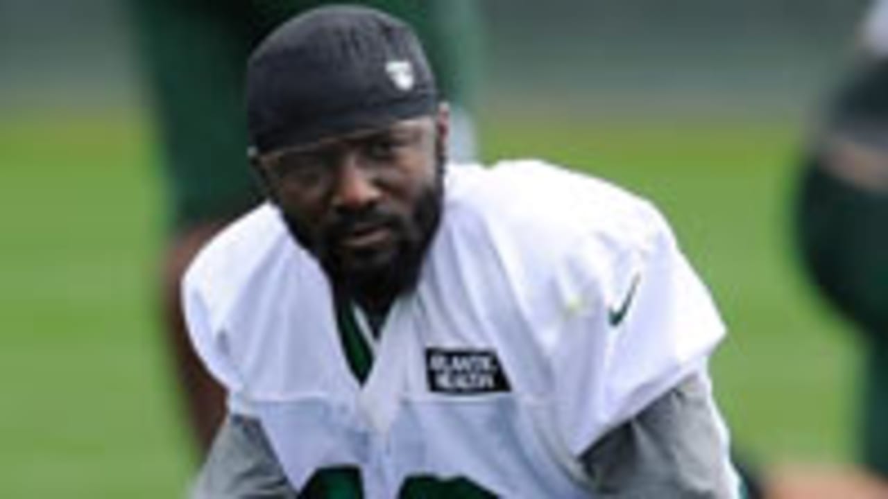 Santonio-Holmes-120923-Spot.jpg