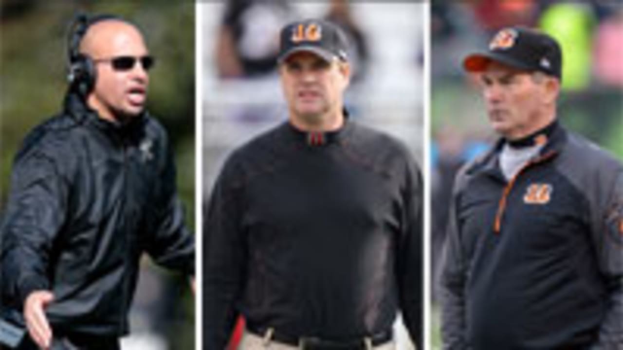 franklin-gruden-zimmer-010614-spot.jpg