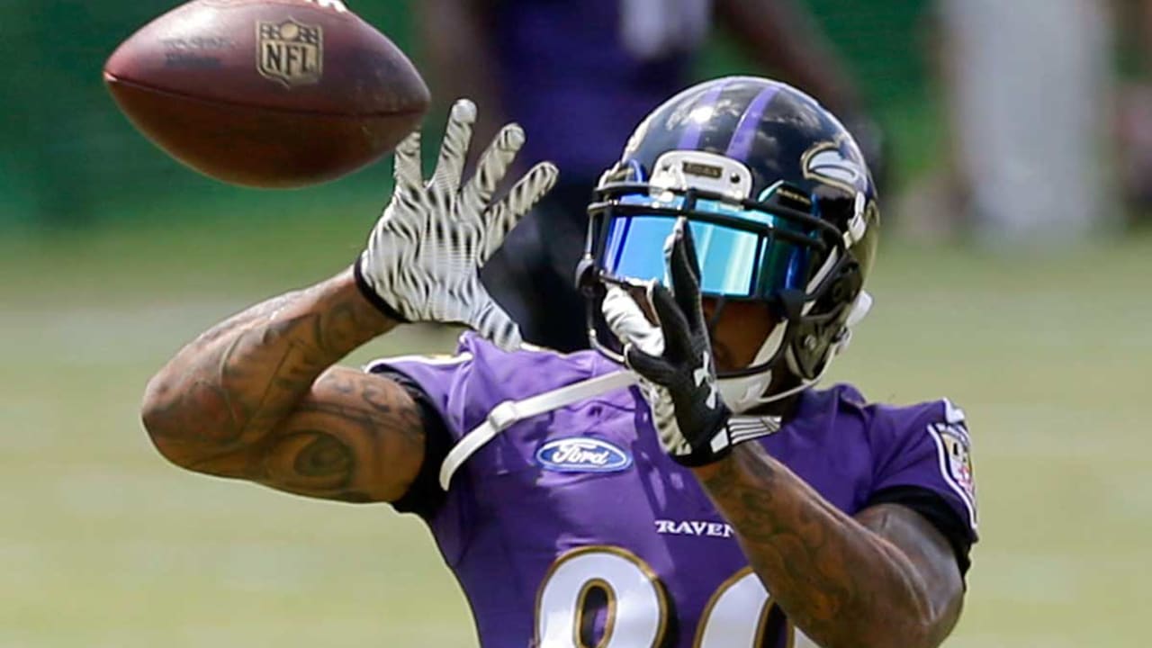 The Steve Smith Revenge Game! (Panthers vs. Ravens 2014, Week 4) 