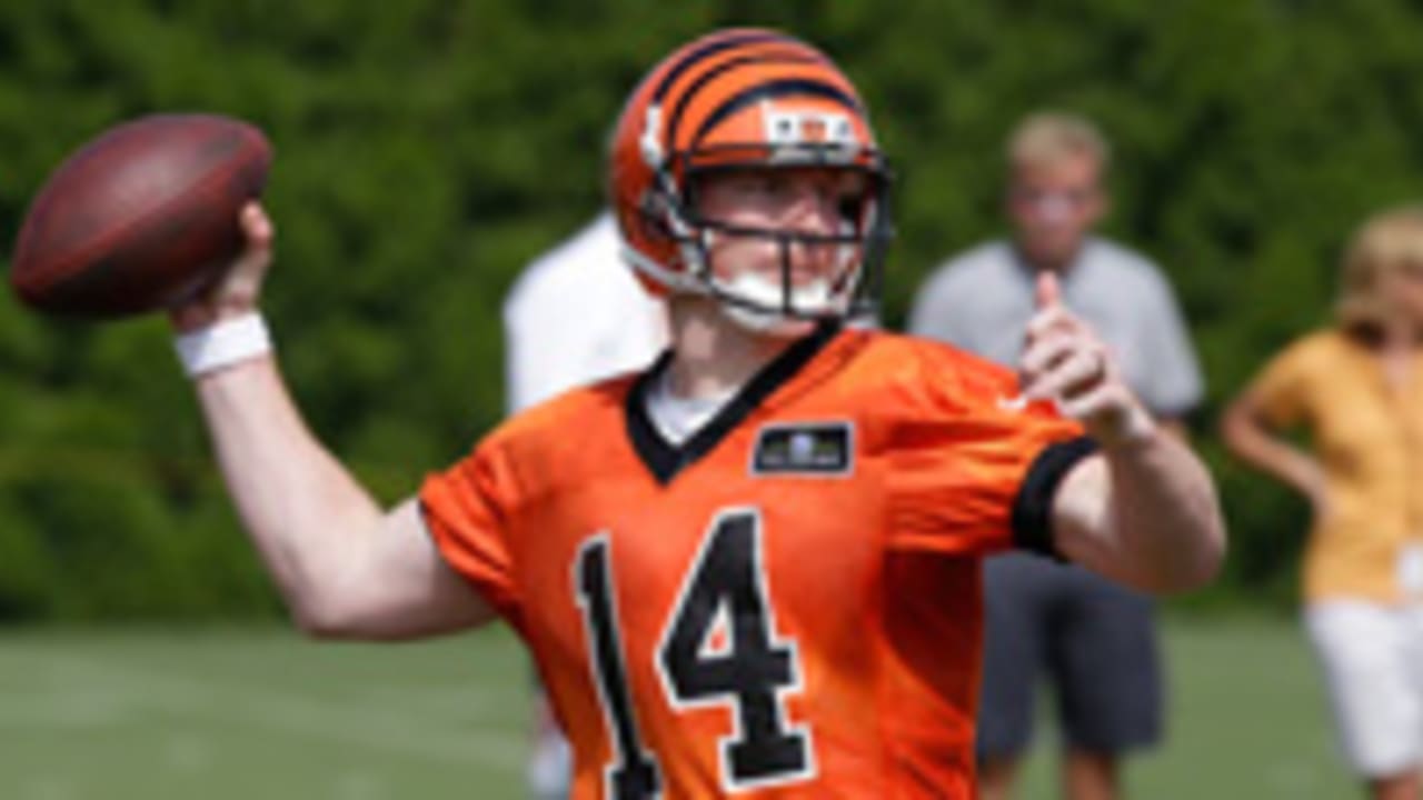 Bengals Sign Andy Dalton to Extension - The New York Times