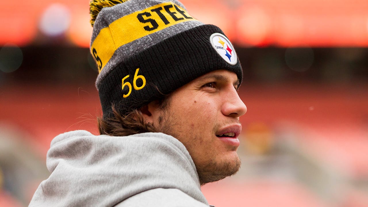 steelers-lb-anthony-chickillo-faces-3-charges-after-incident
