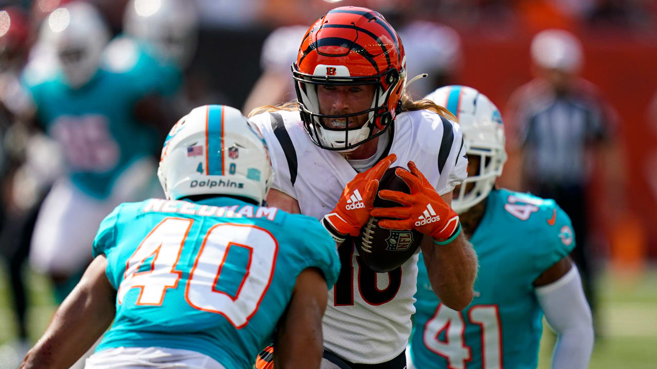 Cincinnati Bengals wide receiver Trenton Irwin (16) celebrates his  touchdown in the second half during an NFL football game against the  Cleveland Browns, Sunday, Dec. 11, 2022, in Cincinnati. (AP Photo/Emilee  Chinn