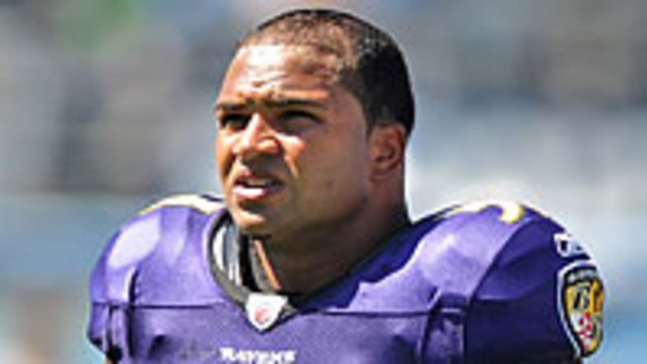 Brendon-Ayanbadejo-130129-Spot.jpg