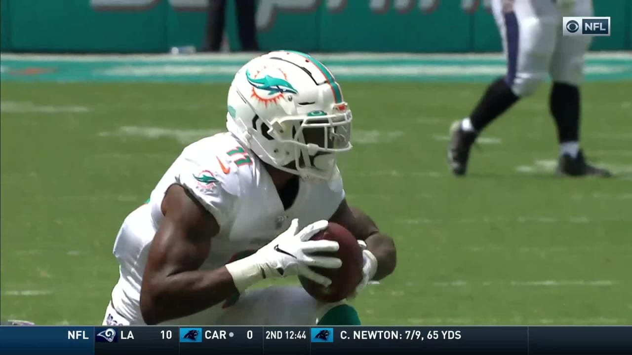 DeVante Parker Levitates for a Sky-Scraping TD Catch!, Ravens vs. Dolphins