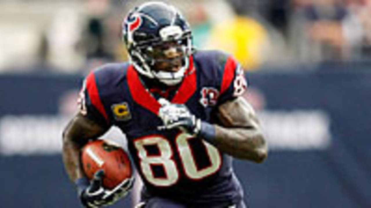 Andre-Johnson-121207.jpg