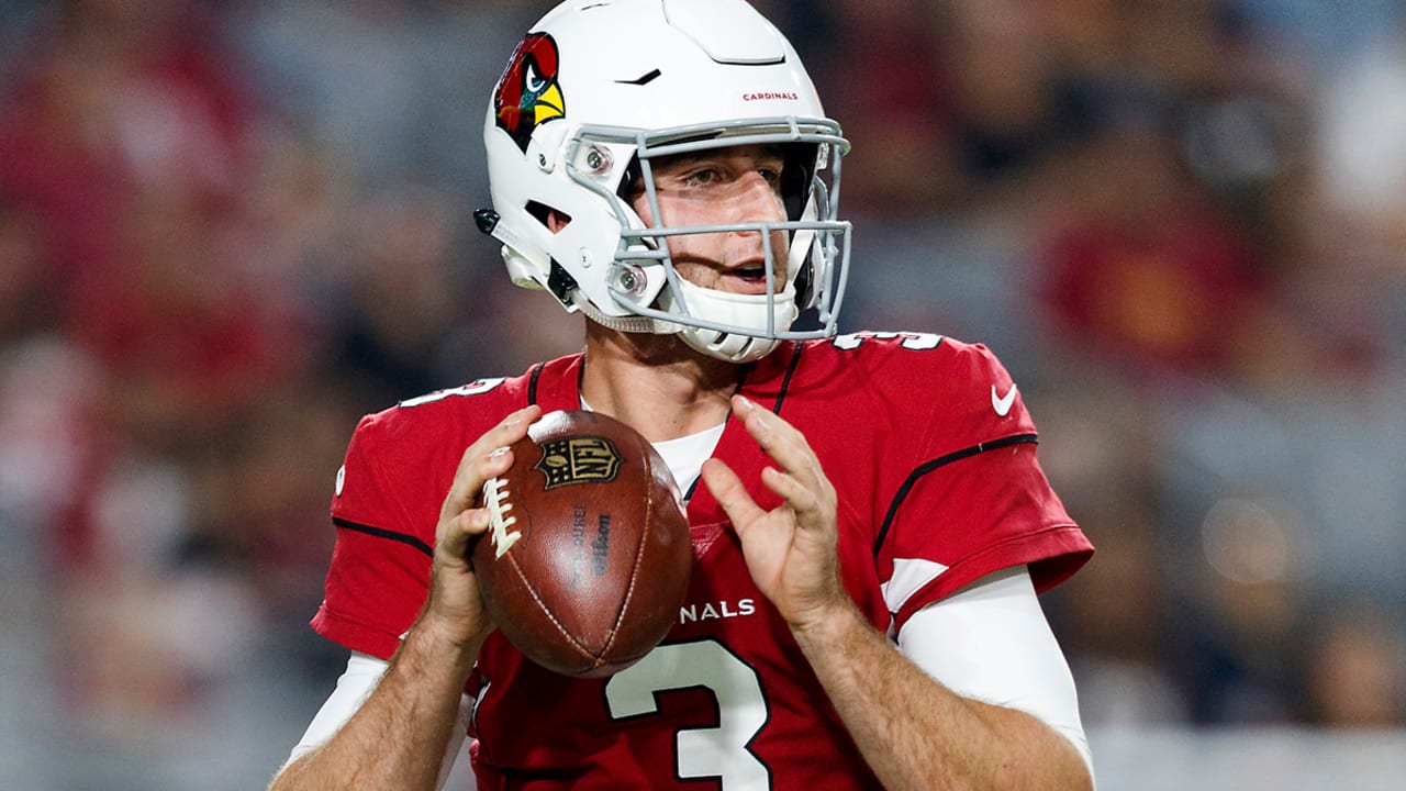 Cardinals sign Jeff Driskel for backup quarterback mix - Revenge