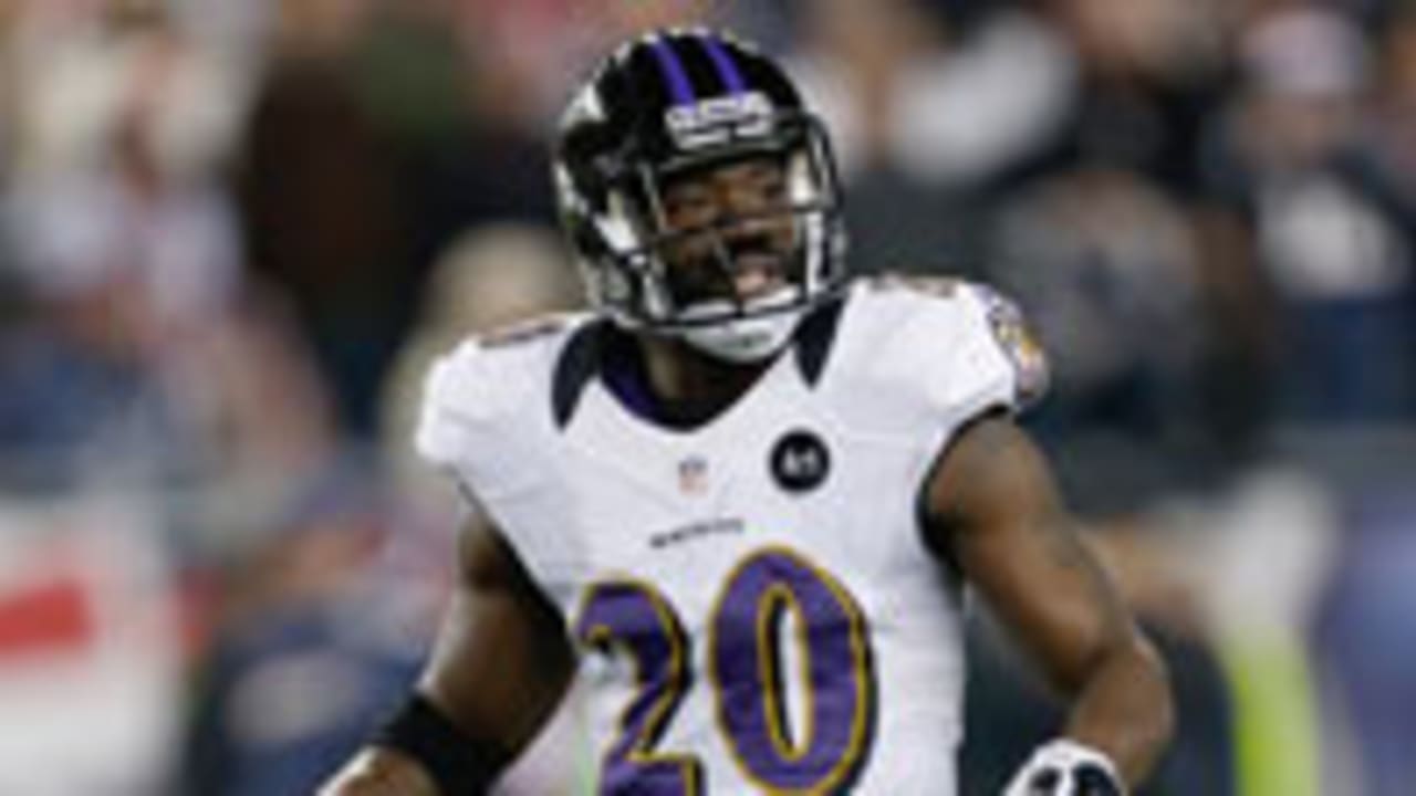 Ed Reed-130301-Spot.jpg