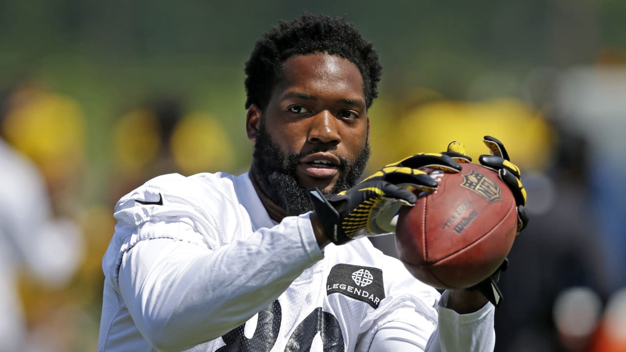 ladarius-green-120716