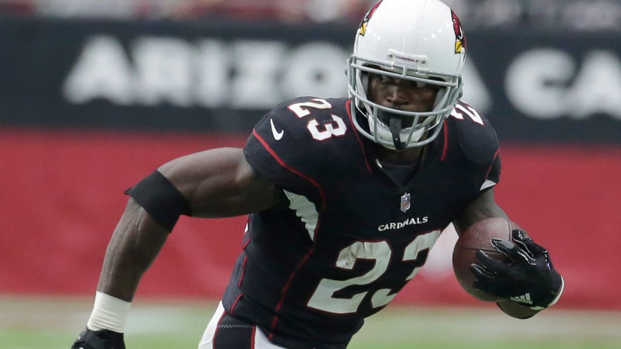 Adrian-Peterson-171107-sl.jpg