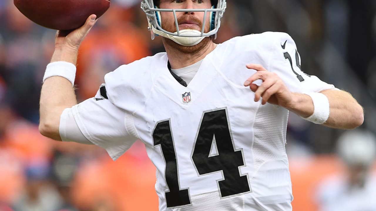 Matt mcgloin jersey sales
