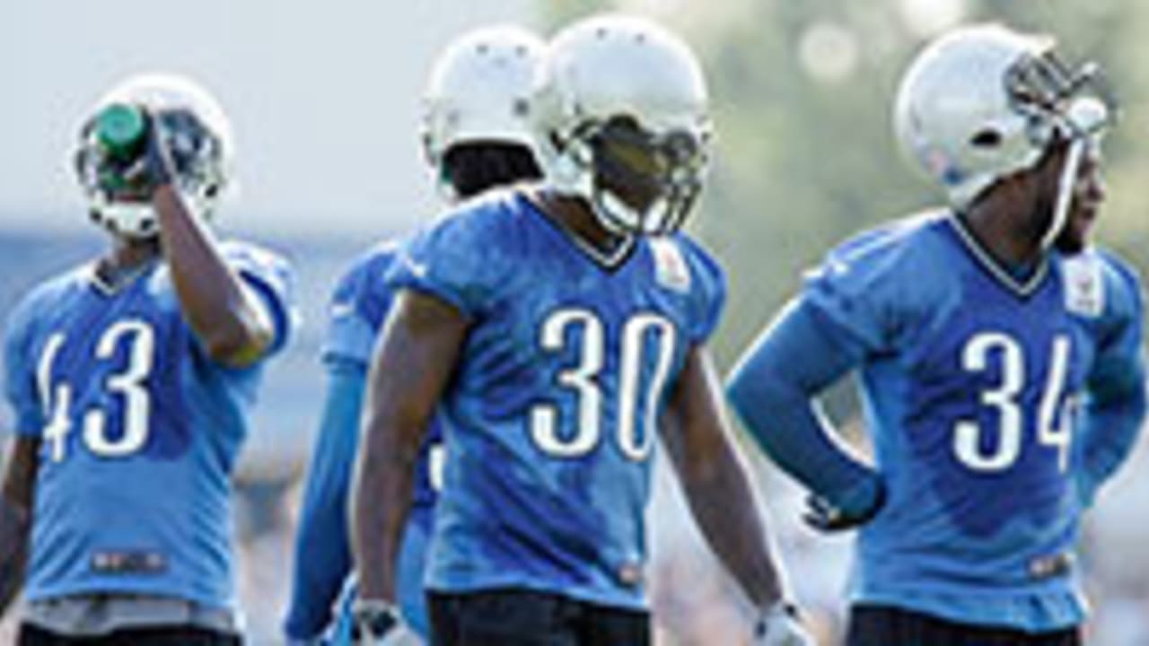 Lions-RB-130110-Spot.jpg