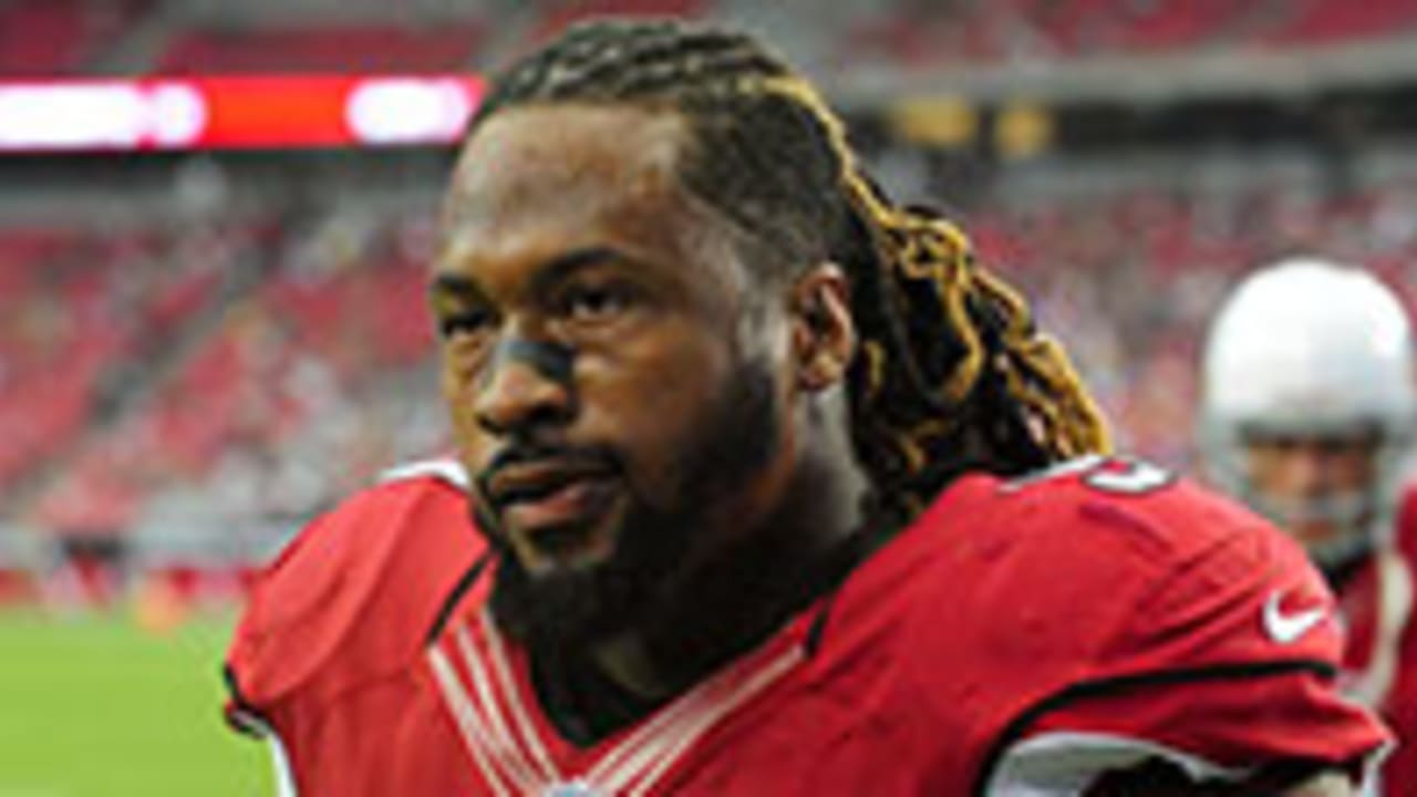 Darnell Dockett apologized to Cardinals teammate Kerry Rhodes