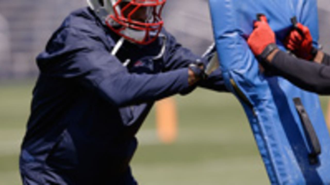 Revis-Darrelle-140602-SL.jpg
