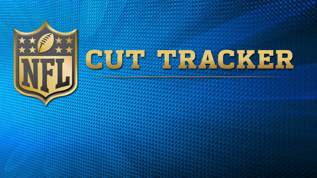 Detroit Lions 2015 roster cuts: Lions release Brian Suite - Pride Of Detroit