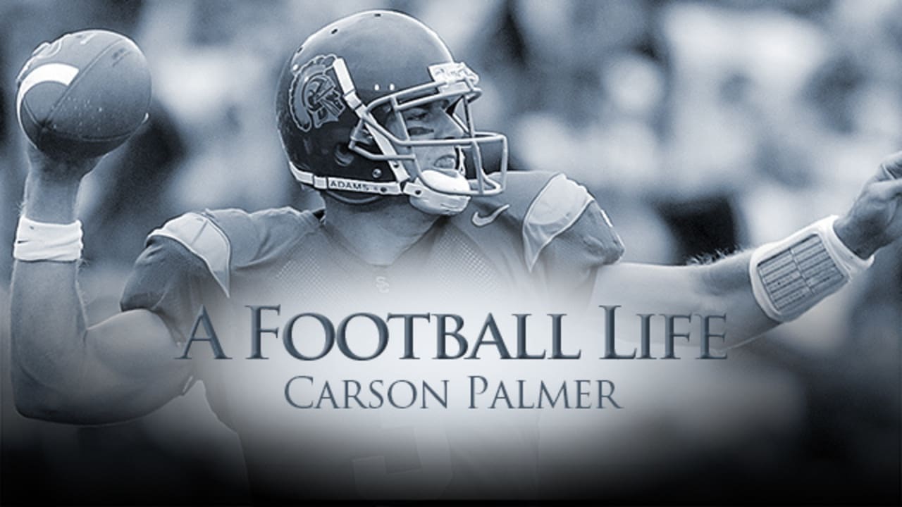 Carson Palmer  Carson palmer, Cincinnati bengals, Football helmets