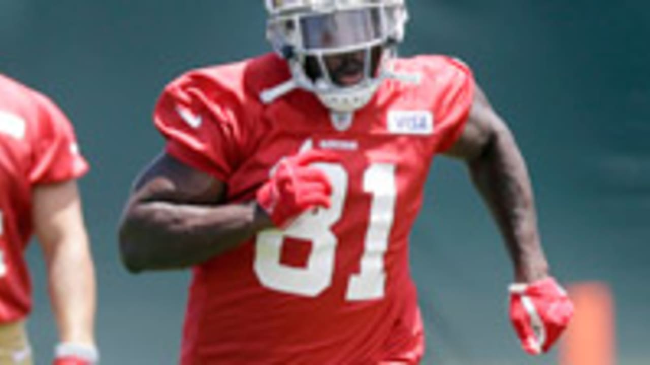 Anquan Boldin-130603-sl.jpg