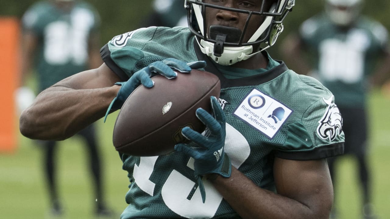 Terrell Owens at OTAs