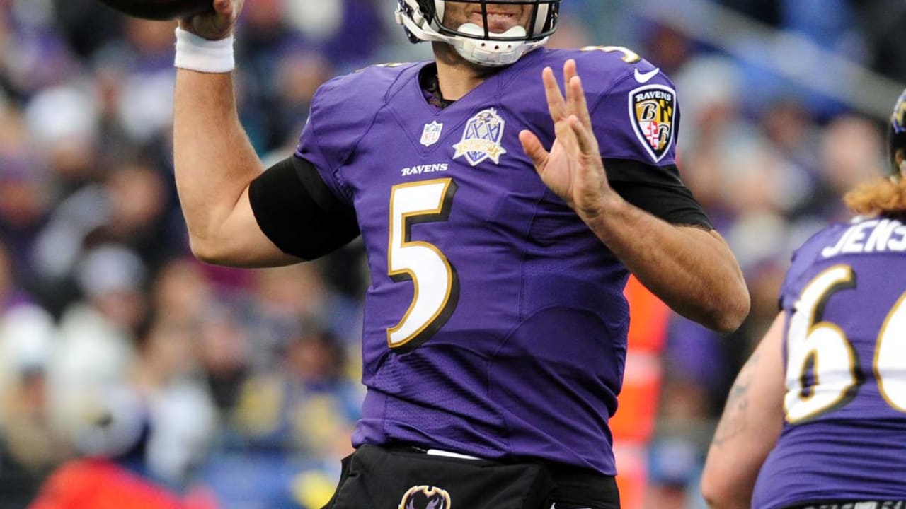 ravens-160413-SL