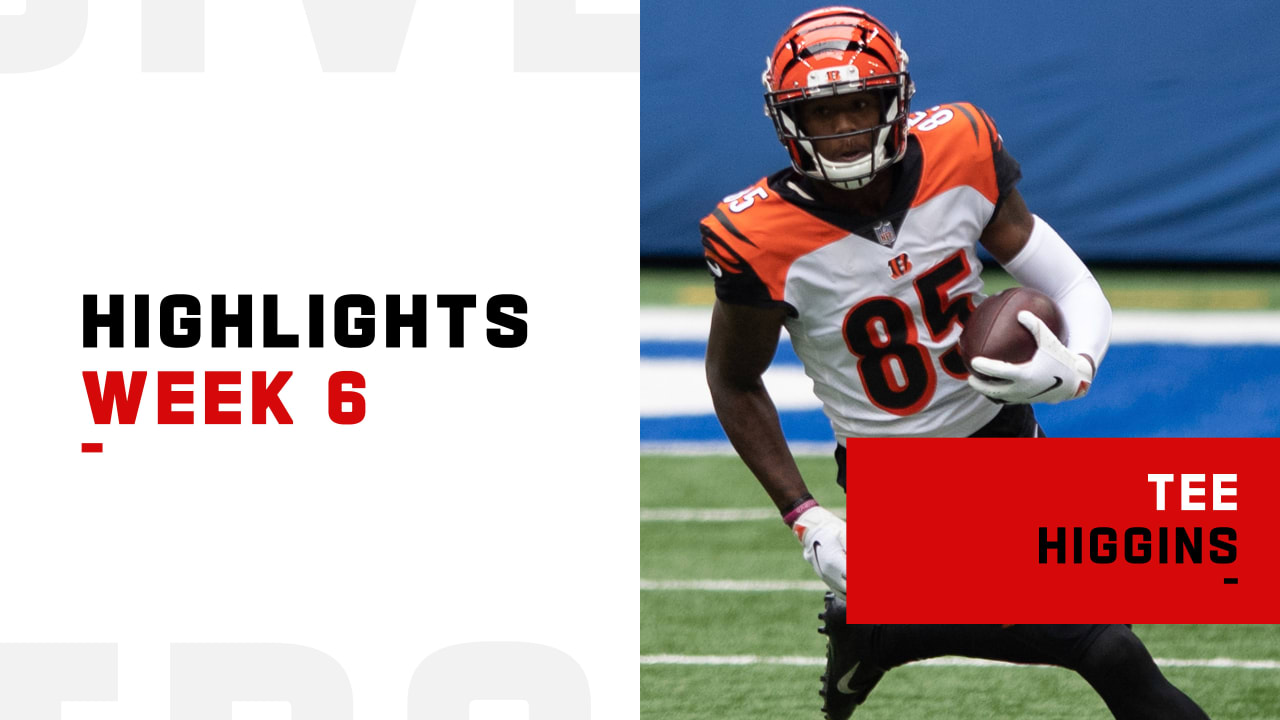 Tee Higgins Full Rookie Season Highlights