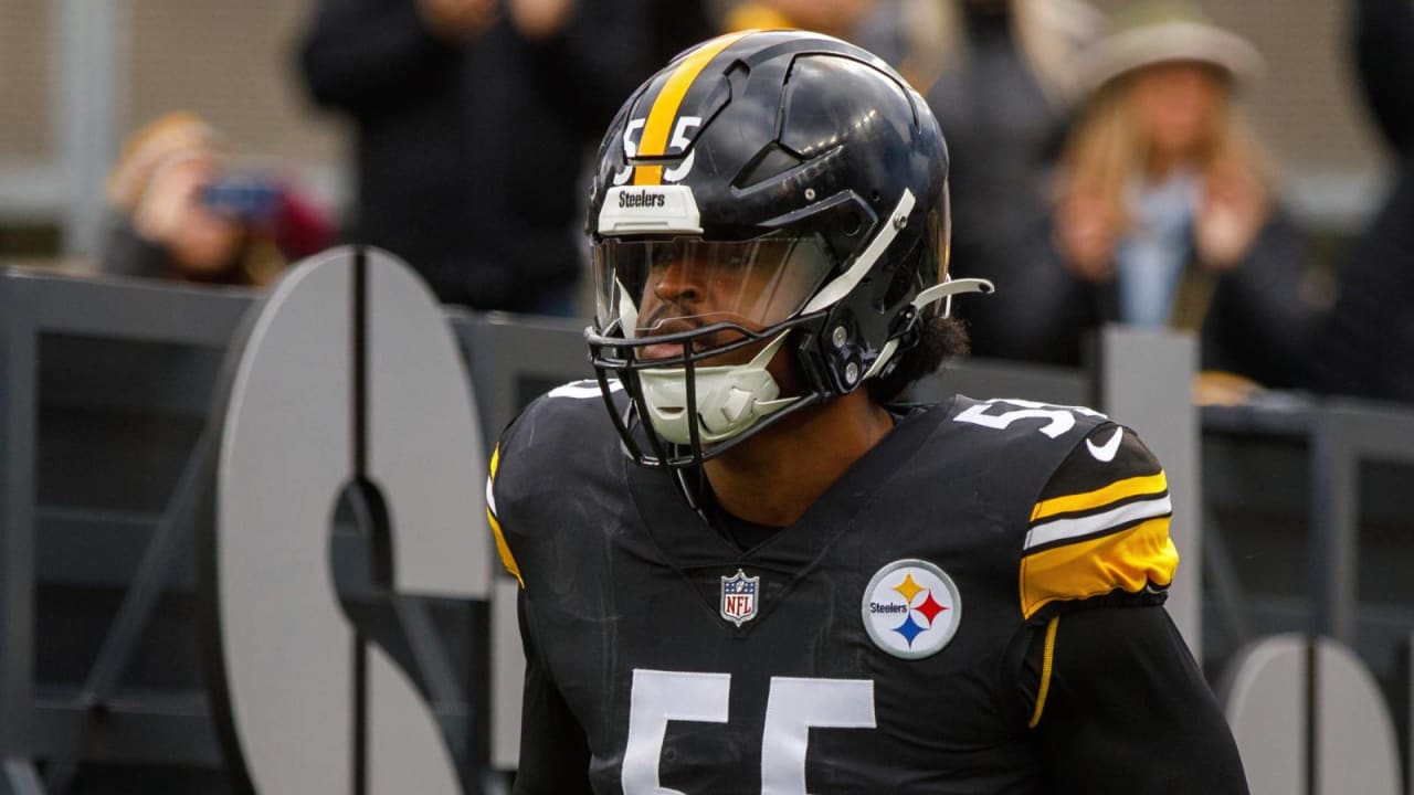 Seattle Seahawks sign former Pittsburgh Steelers LB Devin Bush to