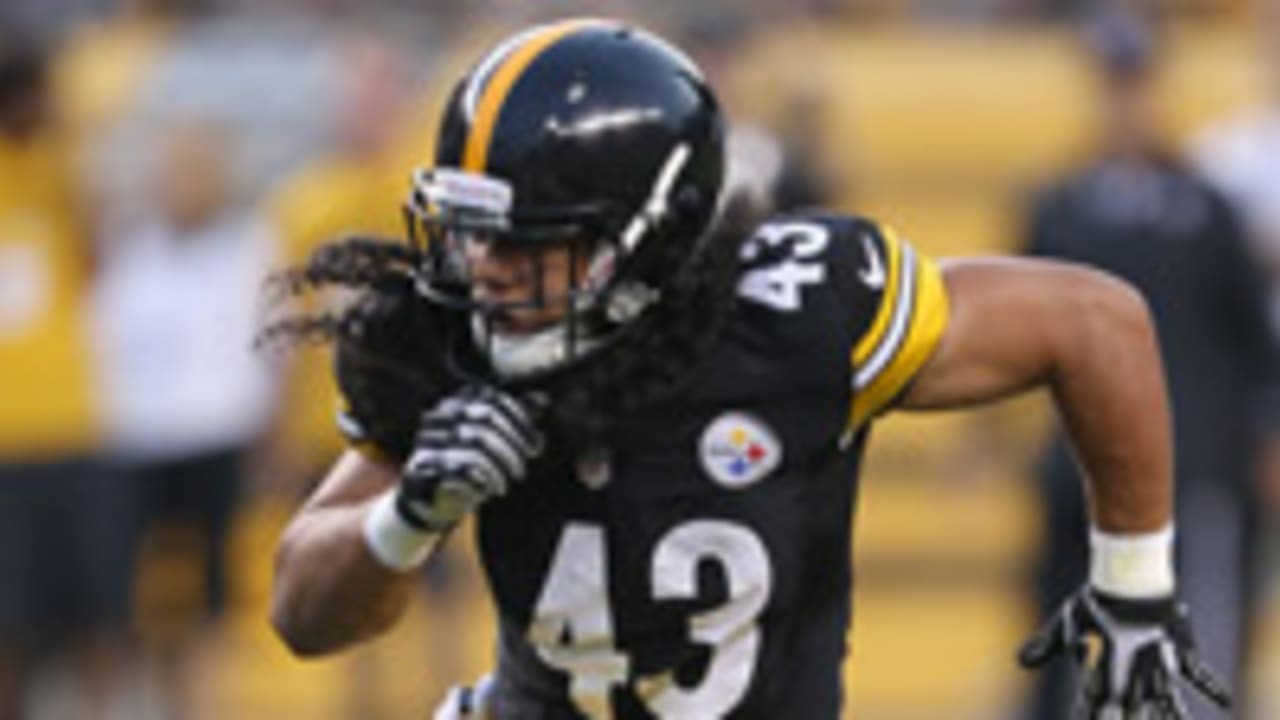 Super Bowl XLV: Pittsburgh safety Troy Polamalu leads more