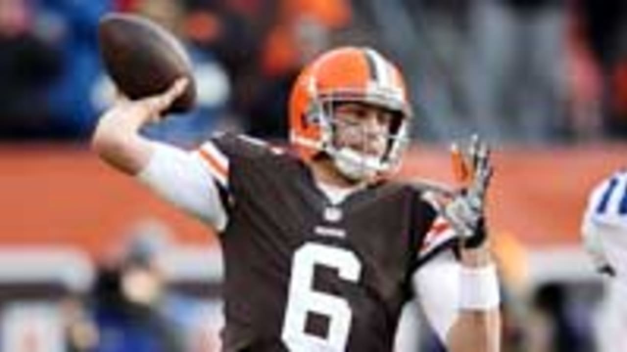 Brian-Hoyer-sl-120914.jpg