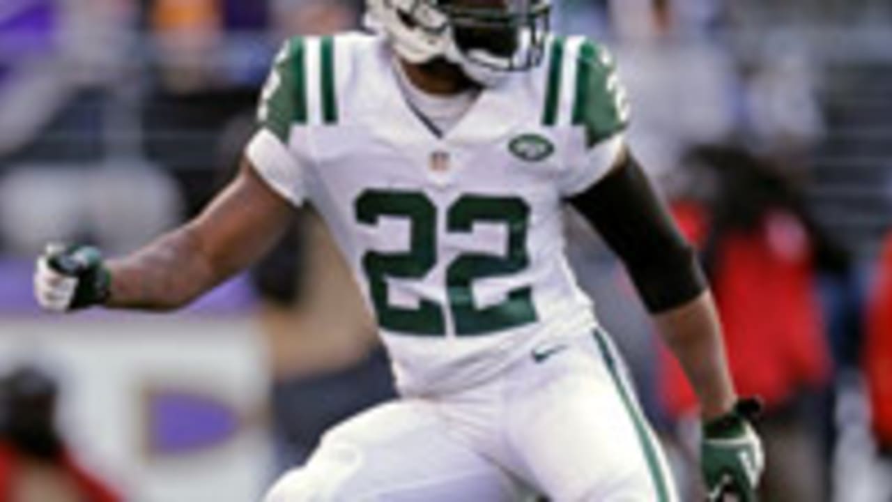 Ed-Reed-122013-SL.jpg