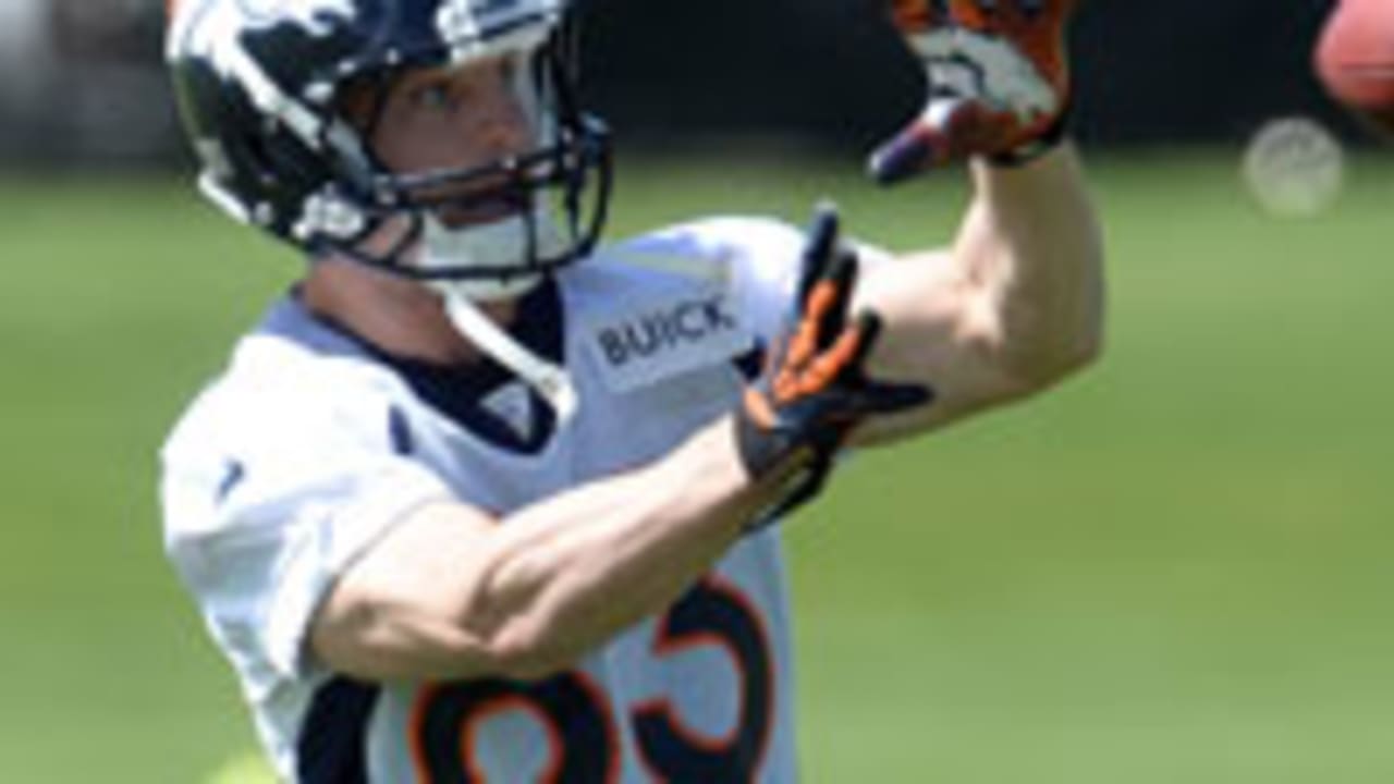 Wes_Welker_130705_SL.jpg