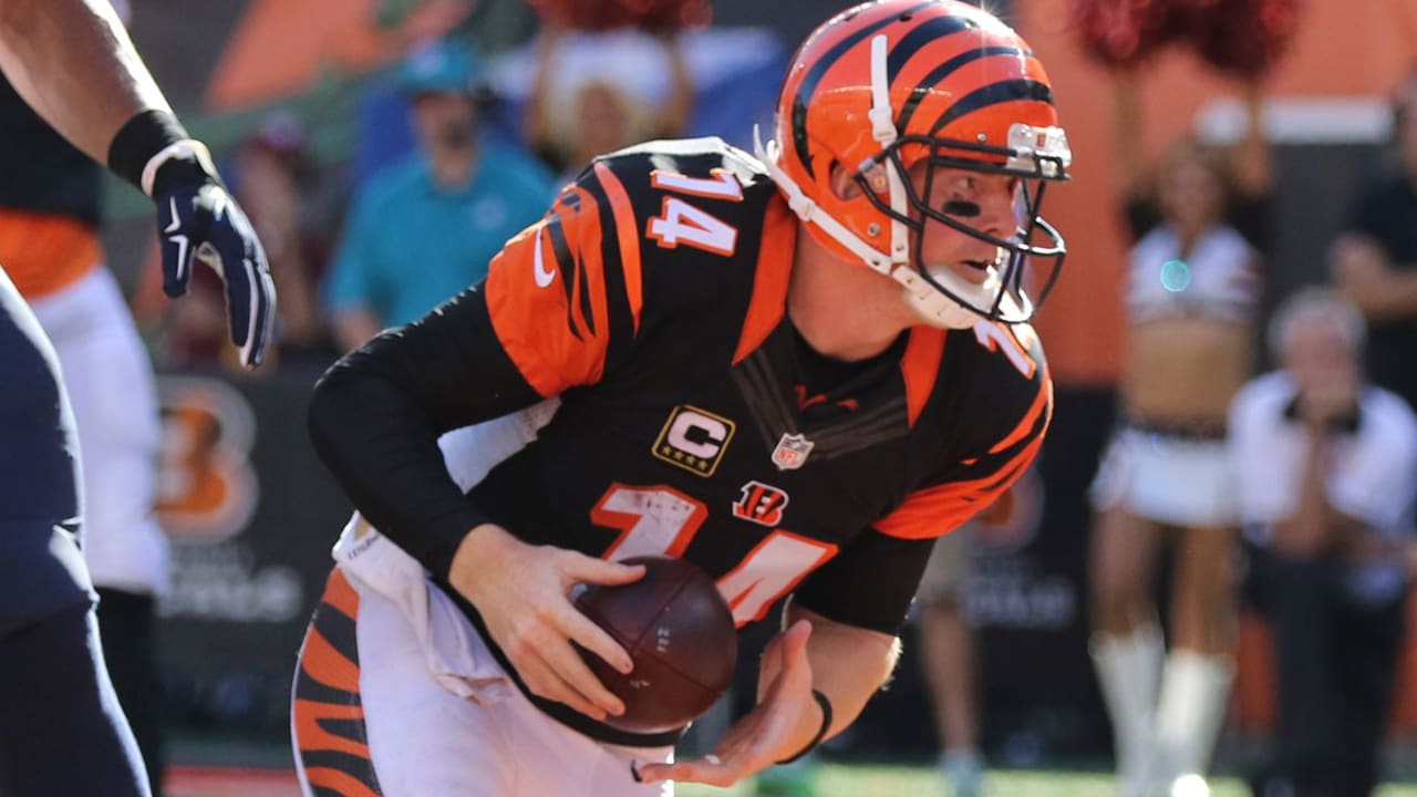 Bengals AFC Championship: Don't miss the moment, cynical Cincinnatian