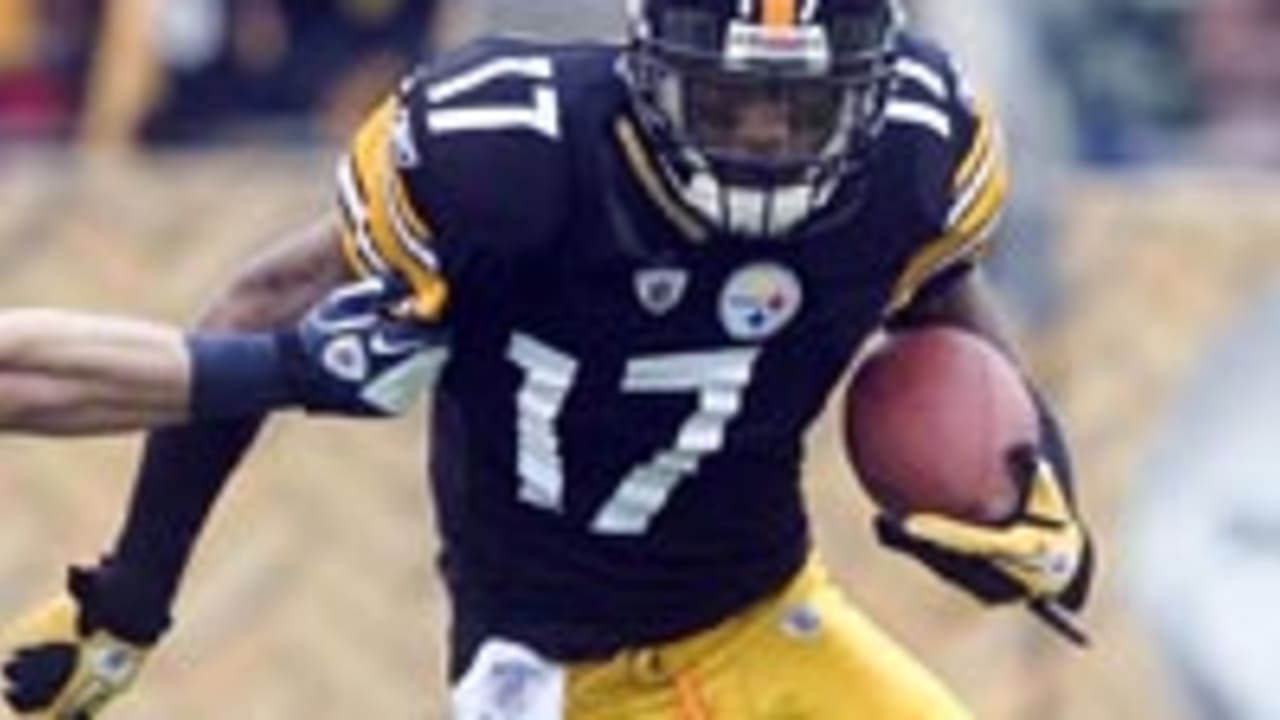 Steelers GM: 'There's really no contact' with WR Mike Wallace 