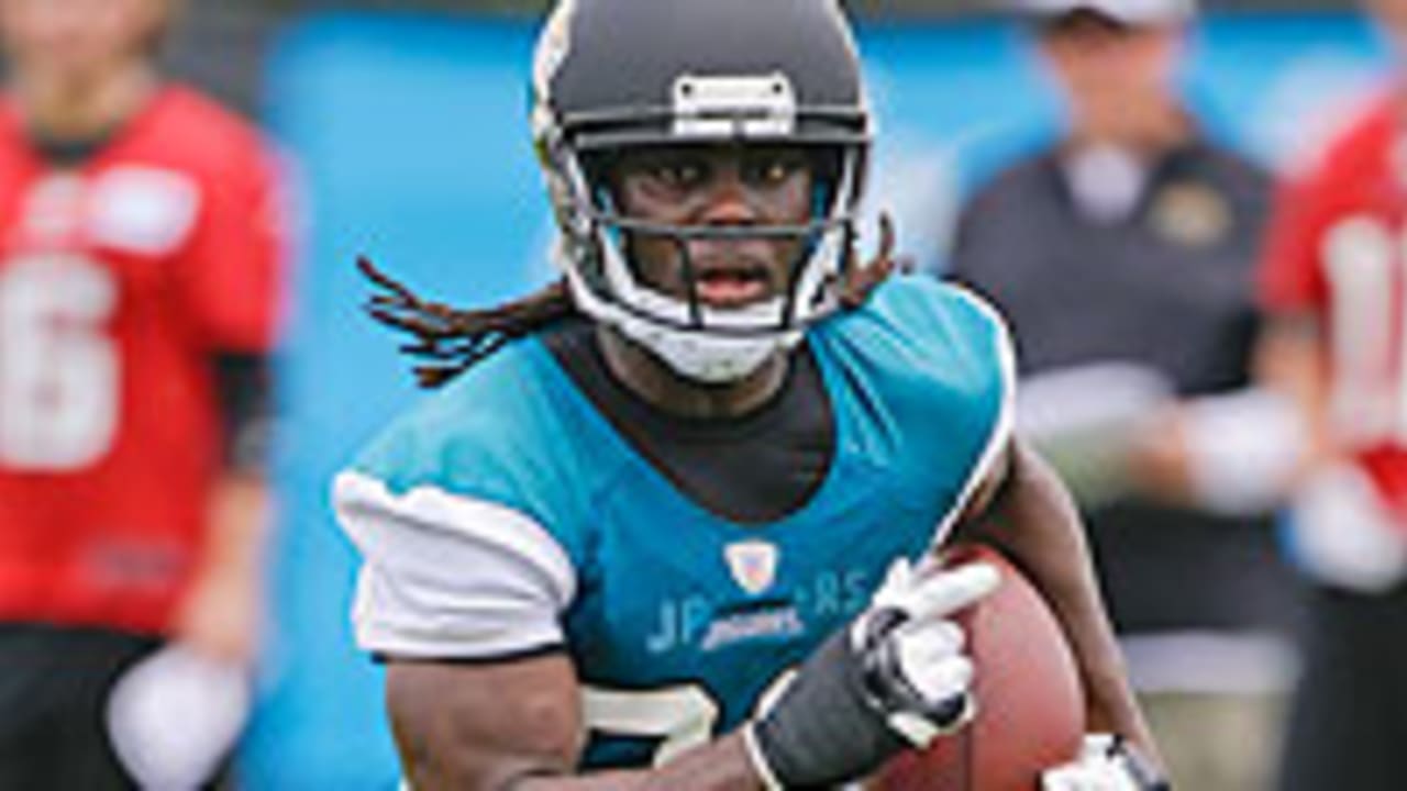 denard-robinson-spot_130603