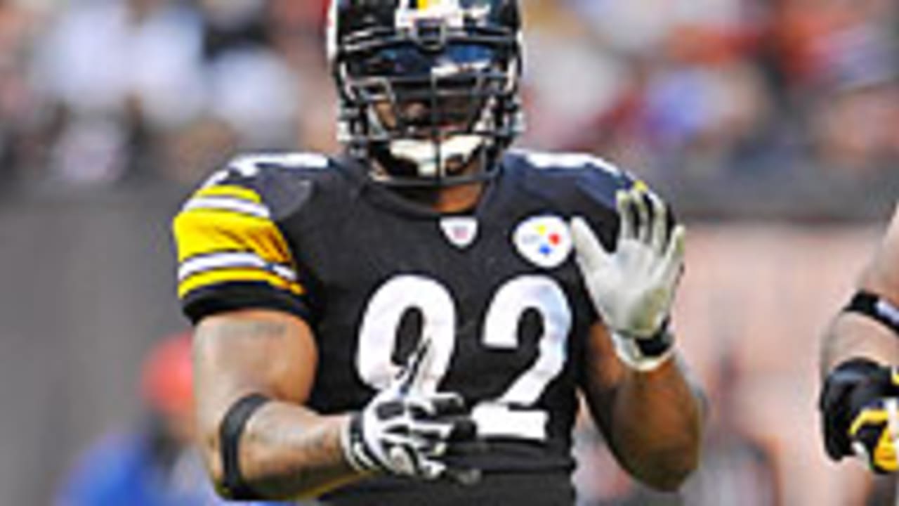 James-Harrison-130217-Spot.jpg